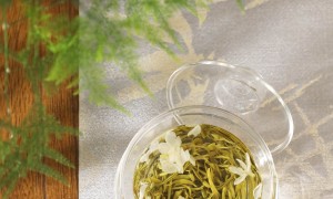 色泽清亮的茉莉飘雪、柔和茉莉飘雪、性价比高的茉莉飘雪综合实力推荐