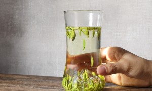 茉莉飘雪茶叶知名品牌推荐 龙芽大师品质与用户口碑深度解析