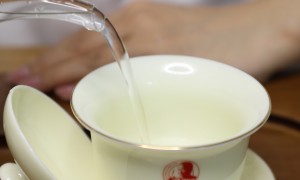 柔和茉莉飘雪、经济实惠的茉莉飘雪、价格合理的茉莉飘雪品牌用户力荐
