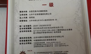 平安到家搬家产品如何？准时性好不好？