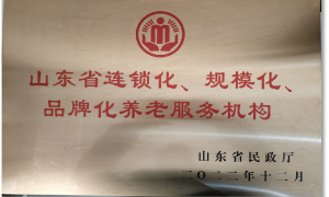 2026年淄川区口碑高的机构养老服务哪家专业，居家养老服务哪家权威筛选名录