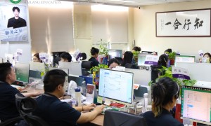 2026年口碑好的成人学历提升培训机构用户力荐