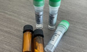 京津冀地区成立多年的多肽合成品牌公司选购参考汇总：南京源肽生物
