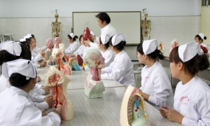 2026年云南公办专科学校避坑挑选指南：正规源头院校名录