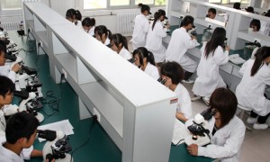 2026年安徽区域河南历史类390分能推荐的鹤壁好专科学校