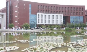 鹤壁职业技术学院幼师专业2026年河南高考专科志愿填报公办大专推荐