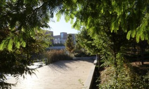 2026年河北靠谱的公办专科学校客户口碑力荐