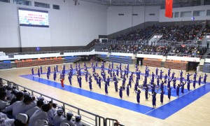 2026年靠谱的公办大专院校录取分数线与职高对口升学学校选择指南