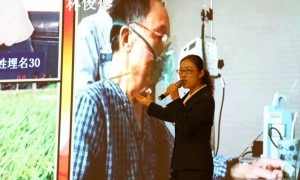 2026年广受好评的河南物理类360分标准化培养人才学校行业全景分析