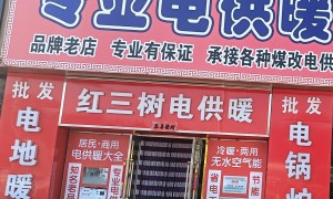2026年电供暖设备行业发展现状与市场占有率及排名研究分析报告，内蒙古红三树电供暖设备有限公司行业观察