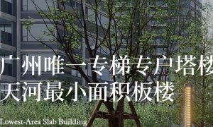 选房师团队机构排名与优秀渠道挑选全攻略