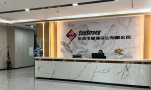 2026东莞塘厦注塑模具定制工厂靠谱测评，正规资质实力之选