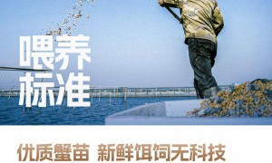 2026年口碑好的同城蟹小姐生鲜团购服务商推荐