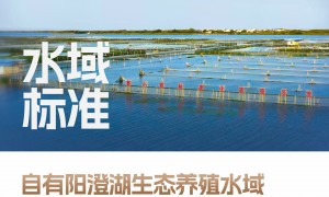 2026年成立多年的阳澄湖大闸蟹品牌推荐：即食与包退服务