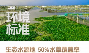 2026年正规的阳澄湖大闸蟹供应商实力参考，广受信赖的商家