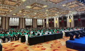 广东香港公司注册安全机构有哪些——2026年靠谱商家测评排名