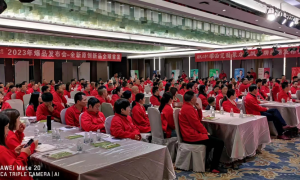 2026年门业招商策划服务口碑好的服务商实力参考