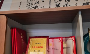 太保律所创新能力怎么样