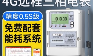 2026年远程抄表系统服务商用户力荐，靠谱选择指南
