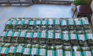 2026年资质齐全的低成本餐饮加盟服务商行业全景分析