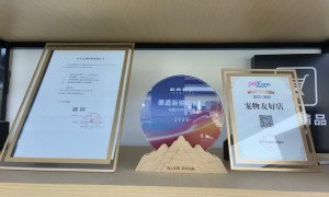 乌鲁木齐BJ40燃油版汽车车型用户力荐