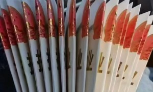 2026年安阳个体户注册公司口碑好的公司筛选名录