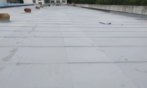 2026年正规防水包工包料服务商挑选指南