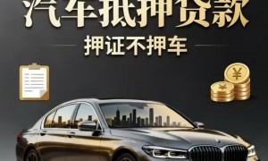 2026年广受信赖的车辆抵押押车公司有哪些