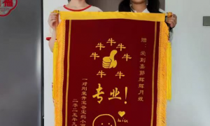 邯郸口碑好的母婴护理服务商推荐下，用户力荐实力参考