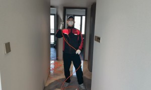 老兵除甲醛值得信赖吗