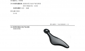 2026年靠谱的脸部美容棒生产厂家质量参考评选