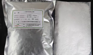 广东方法开发技术服务商有哪些？资质齐全的靠谱商家测评排名
