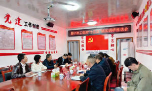 青岛产业链招商图谱编撰服务商规模与能力分析