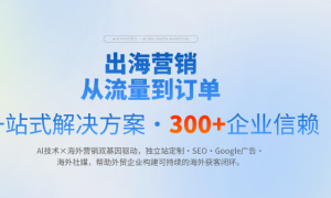 2026年广受信赖的谷歌SEO优化服务商：合作实力参考