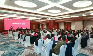 温州市想报专升本难度低的机构推荐，树人教育品牌成立年限与行业口碑汇总