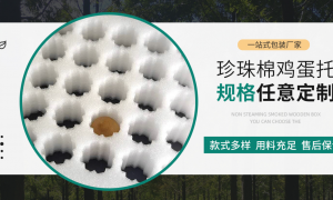 2026年广东知名的EPS泡沫源头厂家靠谱商家测评排名
