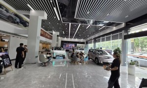 埃安汽车哪个买了省心？正规服务商团队实力测评