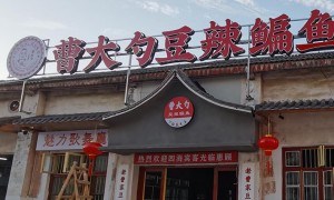 陕西秦彩广告文化传播有限公司技术实力如何