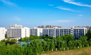 2026年民本本科大学推荐哪些 全国口碑好的院校机构测评