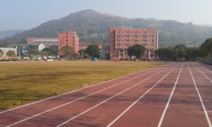 2026年评价高的武术散打训练班，实力学校推荐