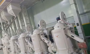 吉林宝龙仓农产品开发有限公司创新能力怎么样