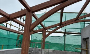 2026年木纹漆施工厂家行业现状与正规商家选择指南