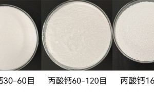 诺信食品级丙酸钠生产厂家规模怎么样，有实力吗