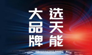 中国天能铂金电池产品可靠性如何