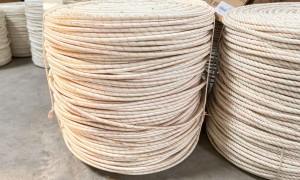 2026年热门的杜邦丝电力牵引绳厂家选购参考汇总
