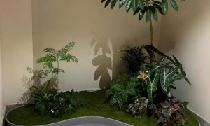 杭州花卉租赁服务商客户真实体验口碑