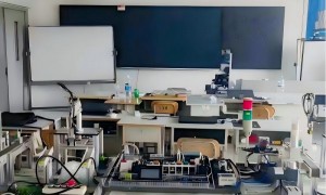 电工自动化培训哪家可靠精选