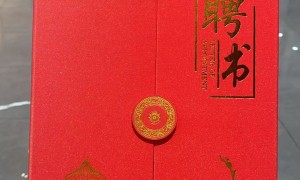 南京卓丽雅假发 2026年客户口碑力荐