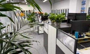 北京市昌平区靠谱的一般纳税人税务合规代办服务商筛选名录