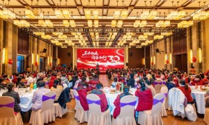 2026年靠谱的黄精九蒸九晒熬粥生产厂家质量参考评选